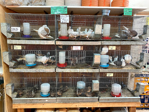 Animal Feed Store «Farmers Feed & Pet Supply», reviews and photos, 1302 E Miner Ave, Stockton, CA 95205, USA