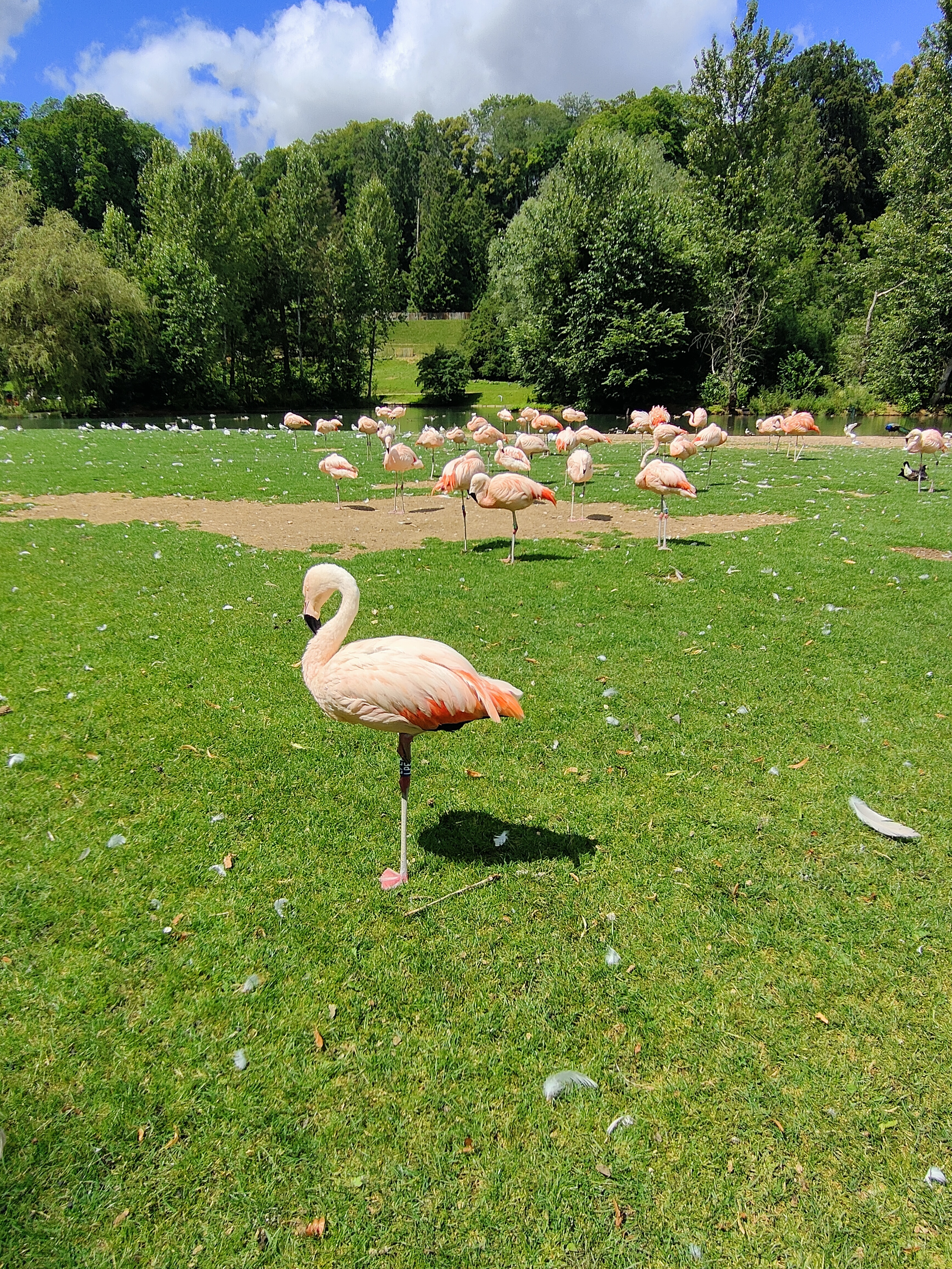Photo n° 5 de l'avis de Claude.a fait le 03/08/2023 à 20:56