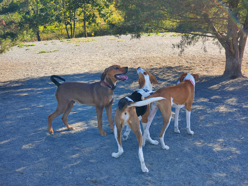 Dog Park «Rock Hill District Park», reviews and photos, 15150 Old Lee Rd, Chantilly, VA 20151, USA
