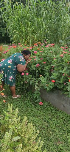 Florist «Root System», reviews and photos, 3228 Main St, Rocky Hill, CT 06067, USA