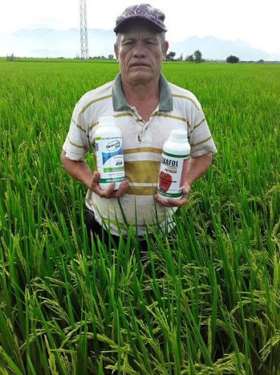 Mercado de productos agrícolas