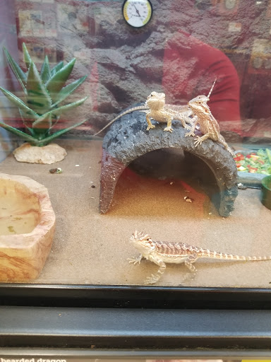 Pet Supply Store «Petco Animal Supplies», reviews and photos, 10383 Reisterstown Rd, Owings Mills, MD 21117, USA