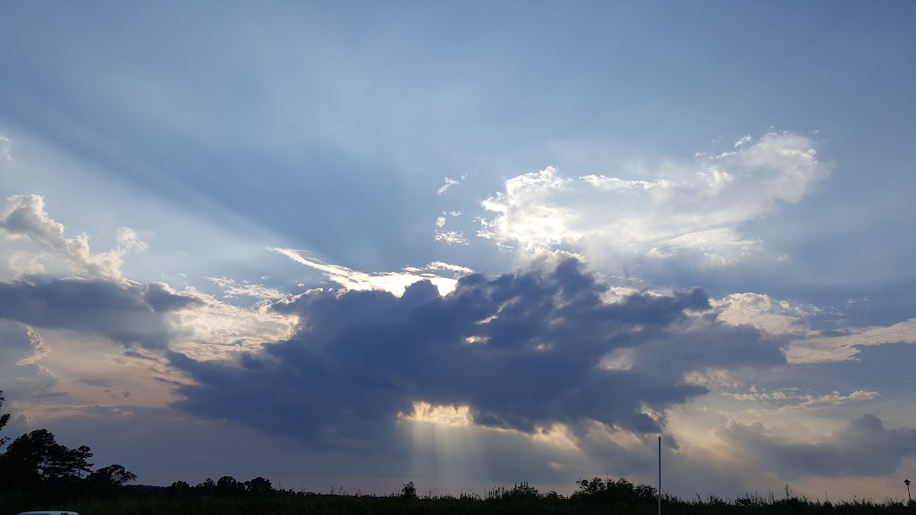 Unique Styles By Renee 30016