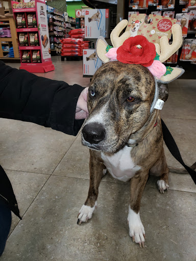 Pet Supply Store «Petco Animal Supplies», reviews and photos, 1215-1309 NJ-33 #1, Hamilton Township, NJ 08690, USA