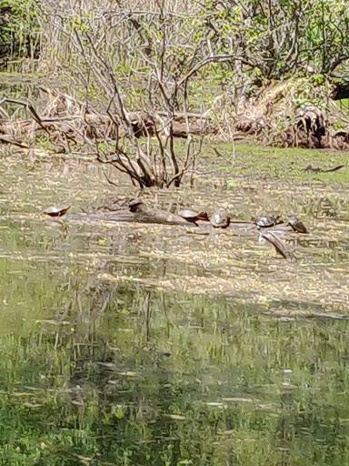 Park «Edison State Park», reviews and photos, 37 Christie St, Edison, NJ 08820, USA