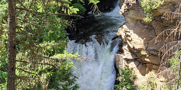 Myrtle Falls Trail