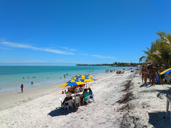 Spiaggia Enseada dos Golfinhos