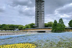 Hamanako Garden Park image
