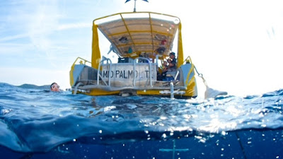 Mio Palmo Plongée à Cavalaire-sur-Mer