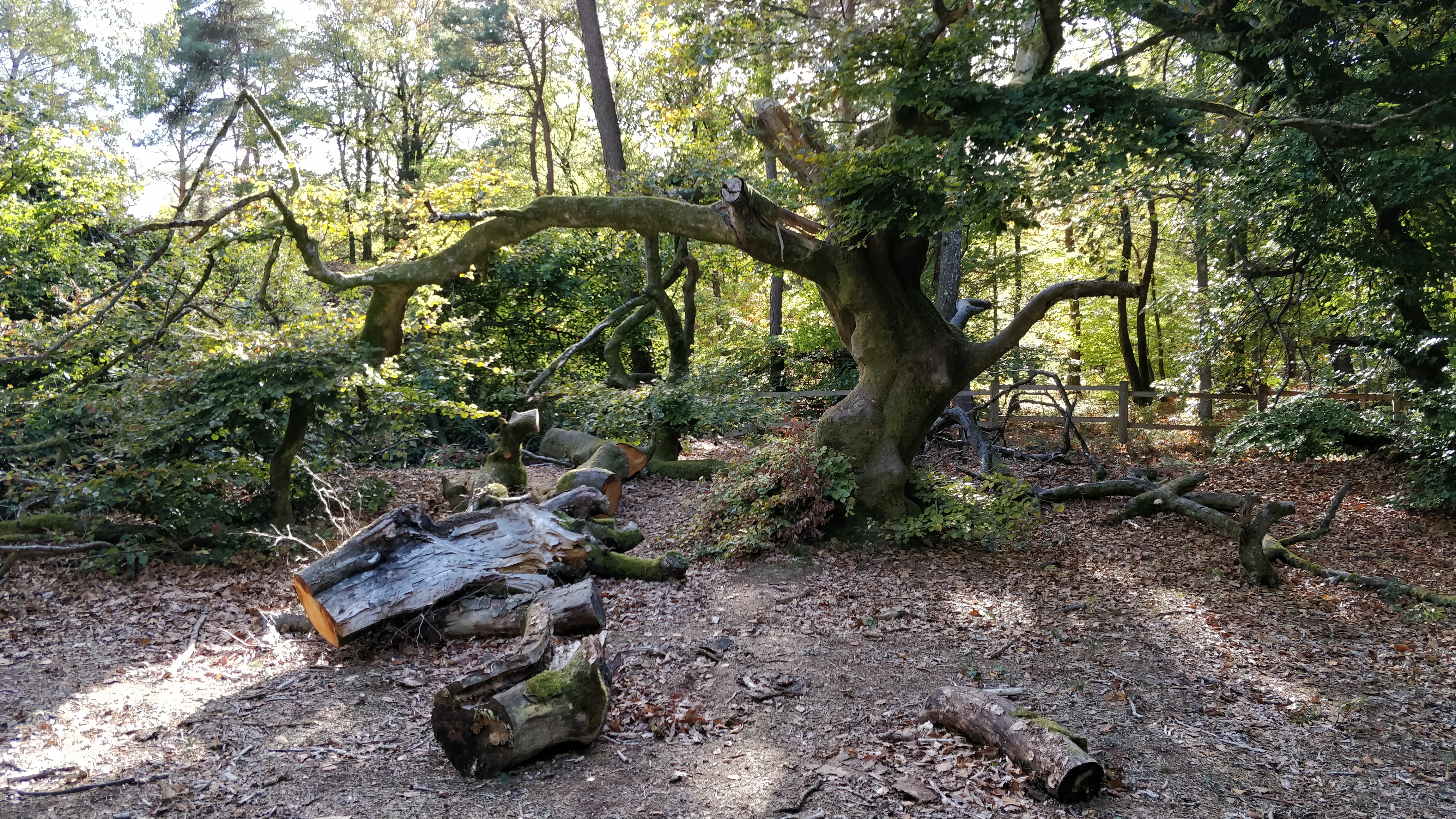 Photo n° 3 de l'avis de stephane.O fait le 23/10/2018 à 14:59