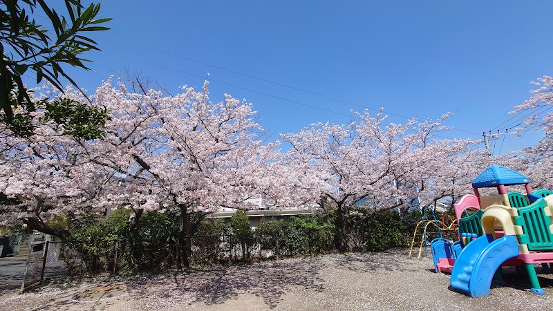 葉桜公園