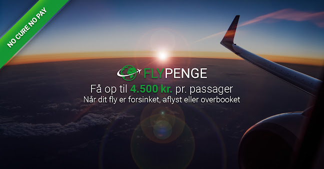 Kommentarer og anmeldelser af FlyPenge.dk