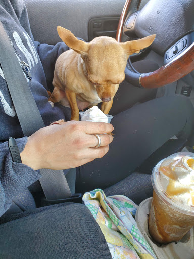 Coffee Shop «Starbucks», reviews and photos, 90 3300 S, South Salt Lake, UT 84115, USA