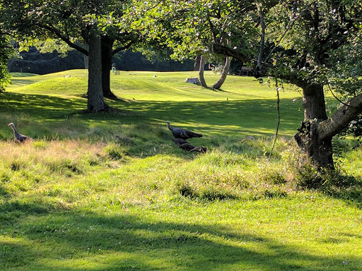 Golf Club «Blossom Trails Golf Club», reviews and photos, 1565 E Britain Ave, Benton Harbor, MI 49022, USA