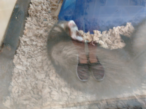 Pet Supply Store «Petco Animal Supplies», reviews and photos, 280 Kensington Blvd, Slidell, LA 70458, USA