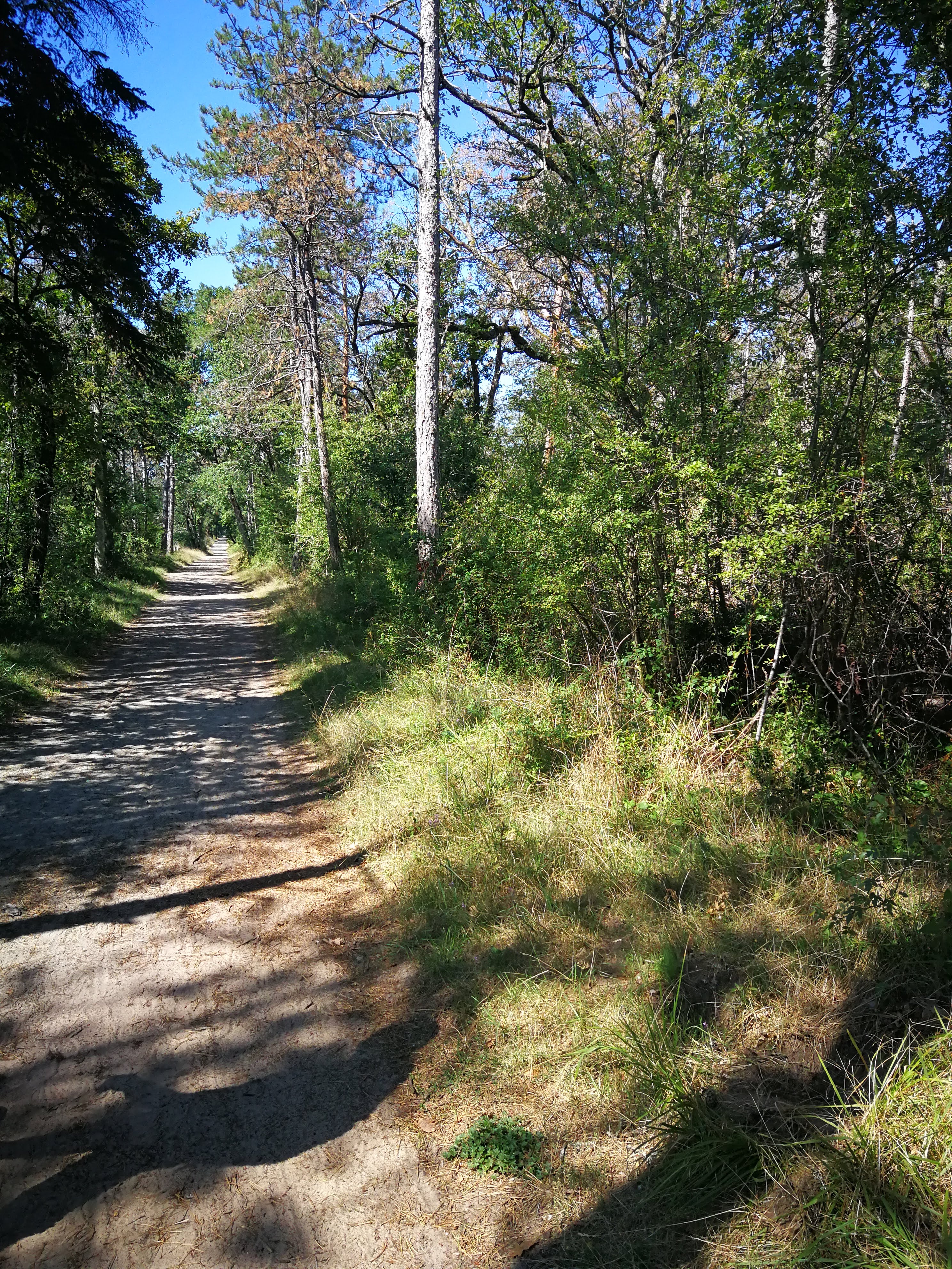 Photo n° 14 de l'avis de Sophie. fait le 29/08/2019 à 15:26