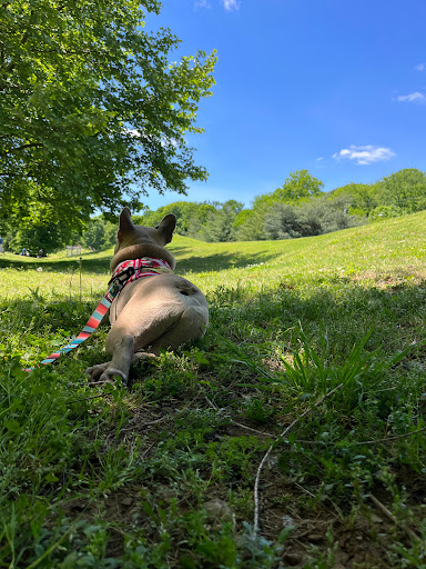 Golf Course «Vinny Links Golf Course», reviews and photos, 2009 Sevier St, Nashville, TN 37206, USA