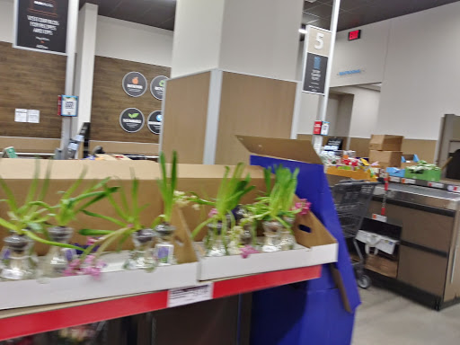 Supermarket «ALDI», reviews and photos, 630 Fellsway, Medford, MA 02155, USA