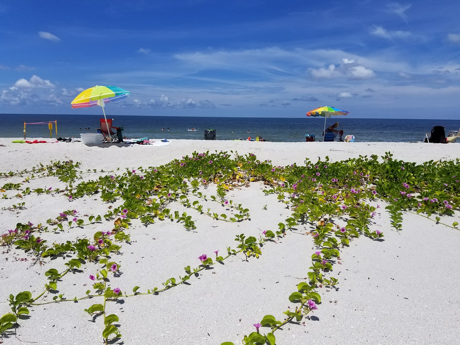 Φωτογραφία του Gasparilla Island beach με επίπεδο καθαριότητας πολύ καθαρό