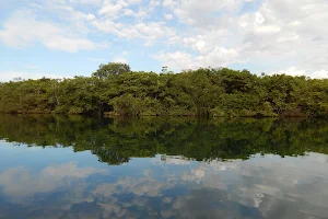 Represa de Porto Colômbia image