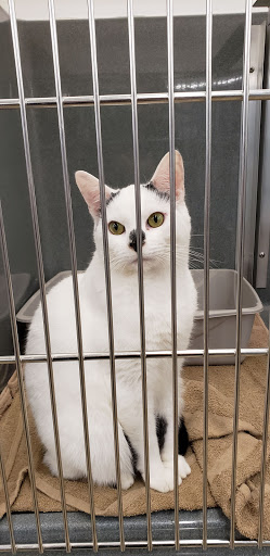 Pet Supply Store «Pet Supplies Plus», reviews and photos, 4121 Buffalo Rd, Erie, PA 16510, USA