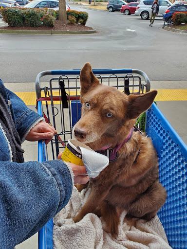 Pet Supply Store «PetSmart», reviews and photos, 1810 Cumming Hwy, Canton, GA 30114, USA