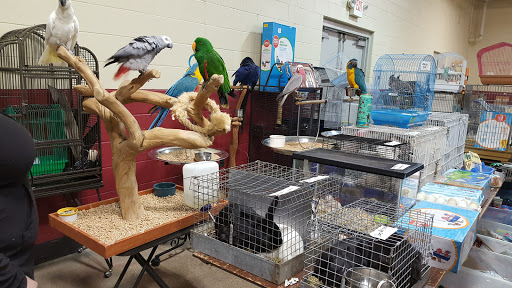 Pet Store «Kalamazoo Reptile Show», reviews and photos, 2900 Lake St, Kalamazoo, MI 49048, USA