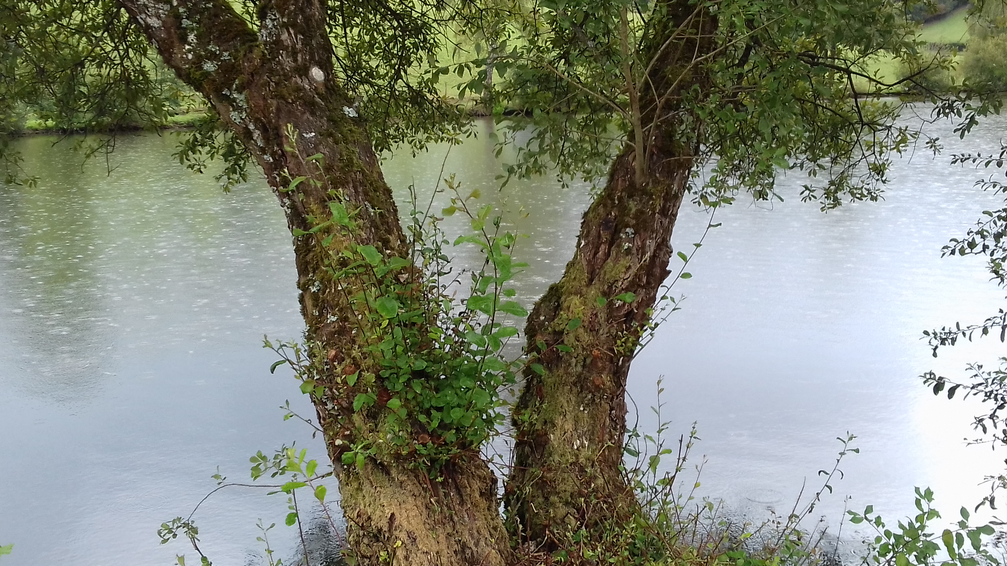 Photo n° 4 de l'avis de Jean.i fait le 30/08/2020 à 16:58
