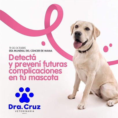 Veterinaria María Cruz De Miguel