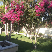 Tropical Paradise Landscaping - Photo 8 - Car repair in Simi Valley, CA, Thousand Oaks