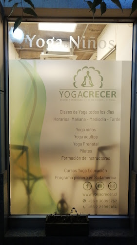 Opiniones de YOGACRECER en Providencia - Centro de yoga