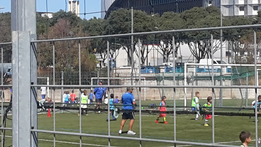 Stade Caujolle