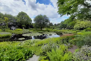 Pond Gardens Ada Hofman image