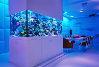 Ultimate Reefs & Aquariums - Photo 5 - Car repair in Tulsa, OK, Tulsa