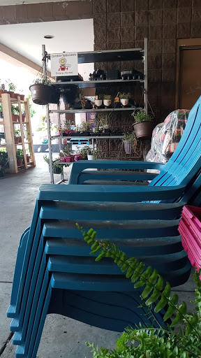 Grocery Store «King Soopers», reviews and photos, 1575 W 84th Ave, Federal Heights, CO 80260, USA