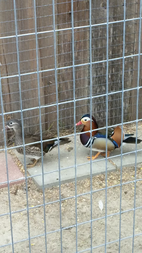 Zoo «Florida International Teaching Zoo», reviews and photos, 7725 FL-48, Bushnell, FL 33513, USA