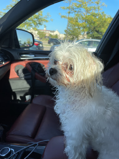 Pet Supply Store «PetSmart», reviews and photos, 6106 Shops Way, Northborough, MA 01532, USA