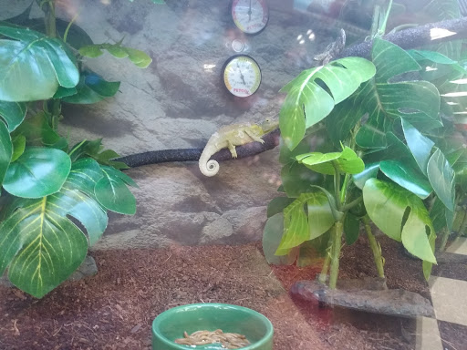 Pet Supply Store «Petco Animal Supplies», reviews and photos, 1410 N Loop 336 W, Conroe, TX 77304, USA