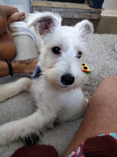 4327 Brownsville Rd # H, Powder Springs, GA 30127, USA