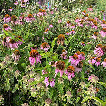 Chatham Mills Pollinator Garden