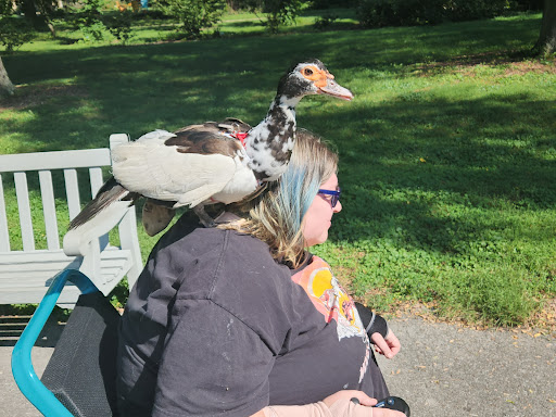 Pet Supply Store «PetPeople», reviews and photos, 2830 Fishinger Rd, Columbus, OH 43221, USA