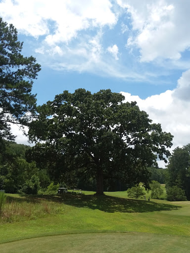 Public Golf Course «Callahan Golf Links», reviews and photos, 4991 Reinhardt College Pkwy, Waleska, GA 30183, USA