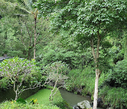 River Café photo