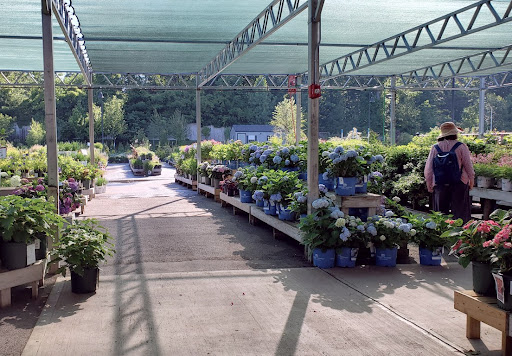 Grocery Store «Adams Fairacre Farms», reviews and photos, 160 Old Post Rd, Wappingers Falls, NY 12590, USA