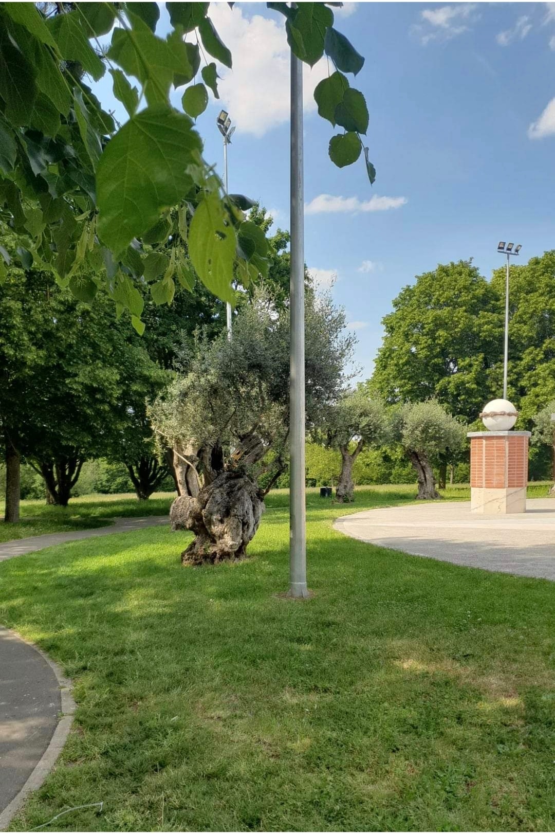 Photo n° 1 de l'avis de Laïchouche.O fait le 09/06/2021 à 18:34