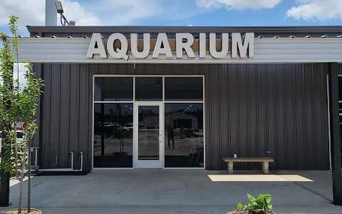 Eco Aquarium image