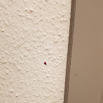 Photo n°1 de l'avis de Zven.c fait le 25/08/2022 à 16:13 sur le  HOTEL LASTHAUS AM RING à Cologne