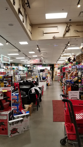 Hardware Store «Ace Hardware Stetson Hills», reviews and photos, 5944 Stetson Hills Blvd #180, Colorado Springs, CO 80923, USA