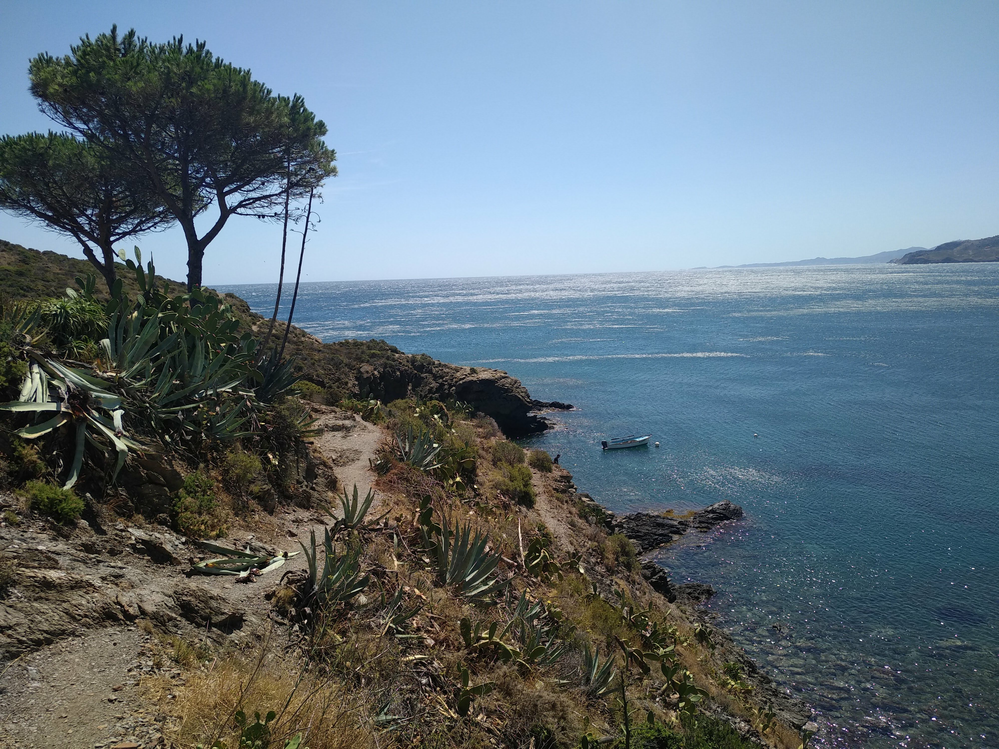 Photo n° 1 de l'avis de TARRAJAT.e fait le 29/07/2019 à 15:33