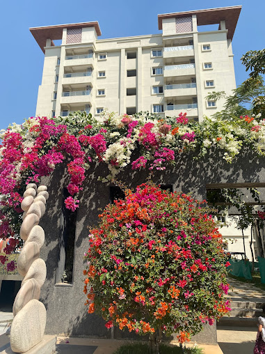 Google Maps image 19